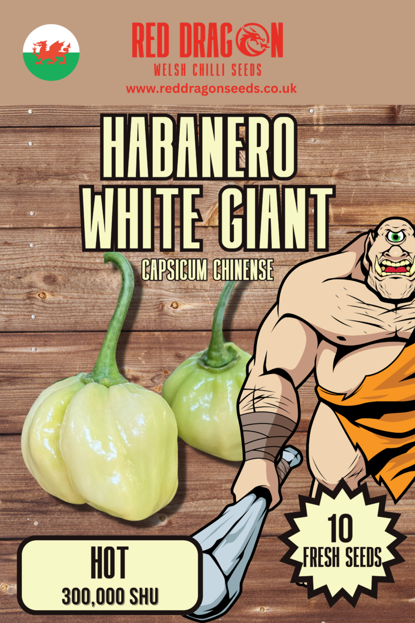 Habanero White Giant Chilli Seeds - Image 2