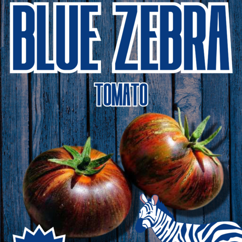 Blue Zebra Tomato Seeds