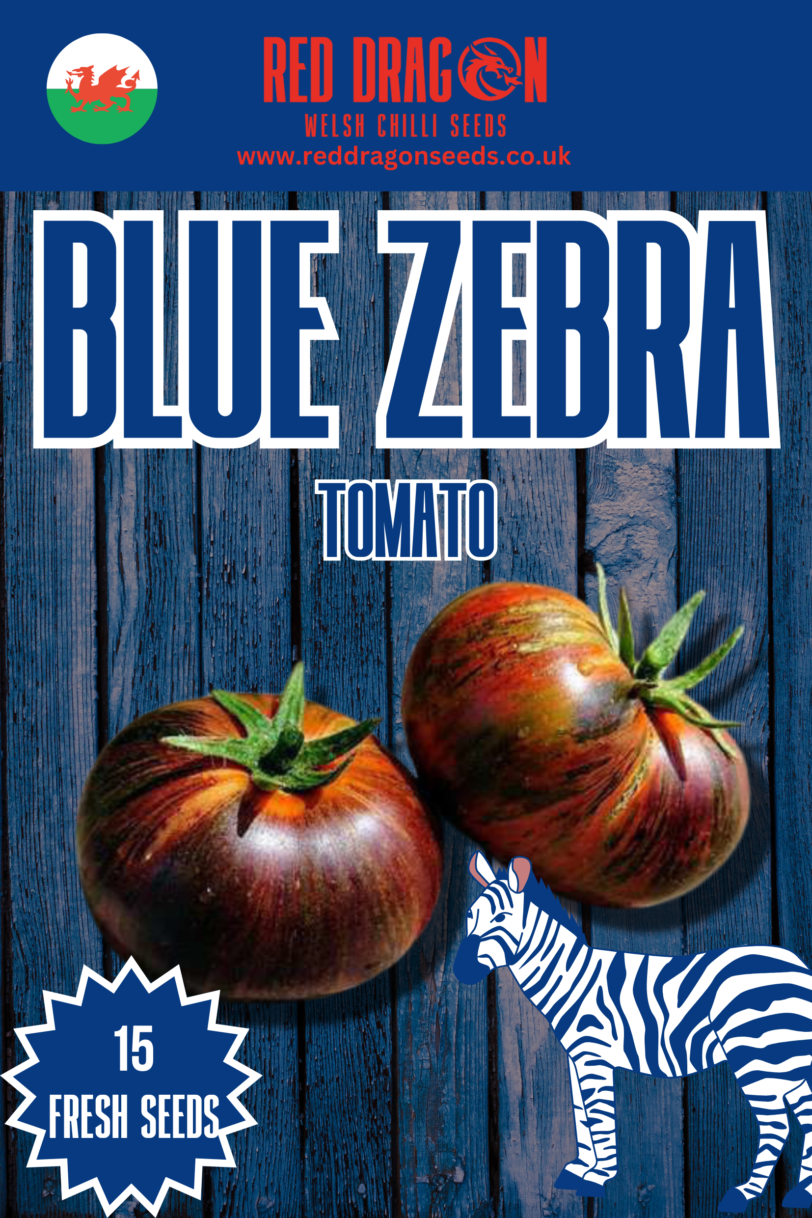 Blue Zebra Tomato Seeds