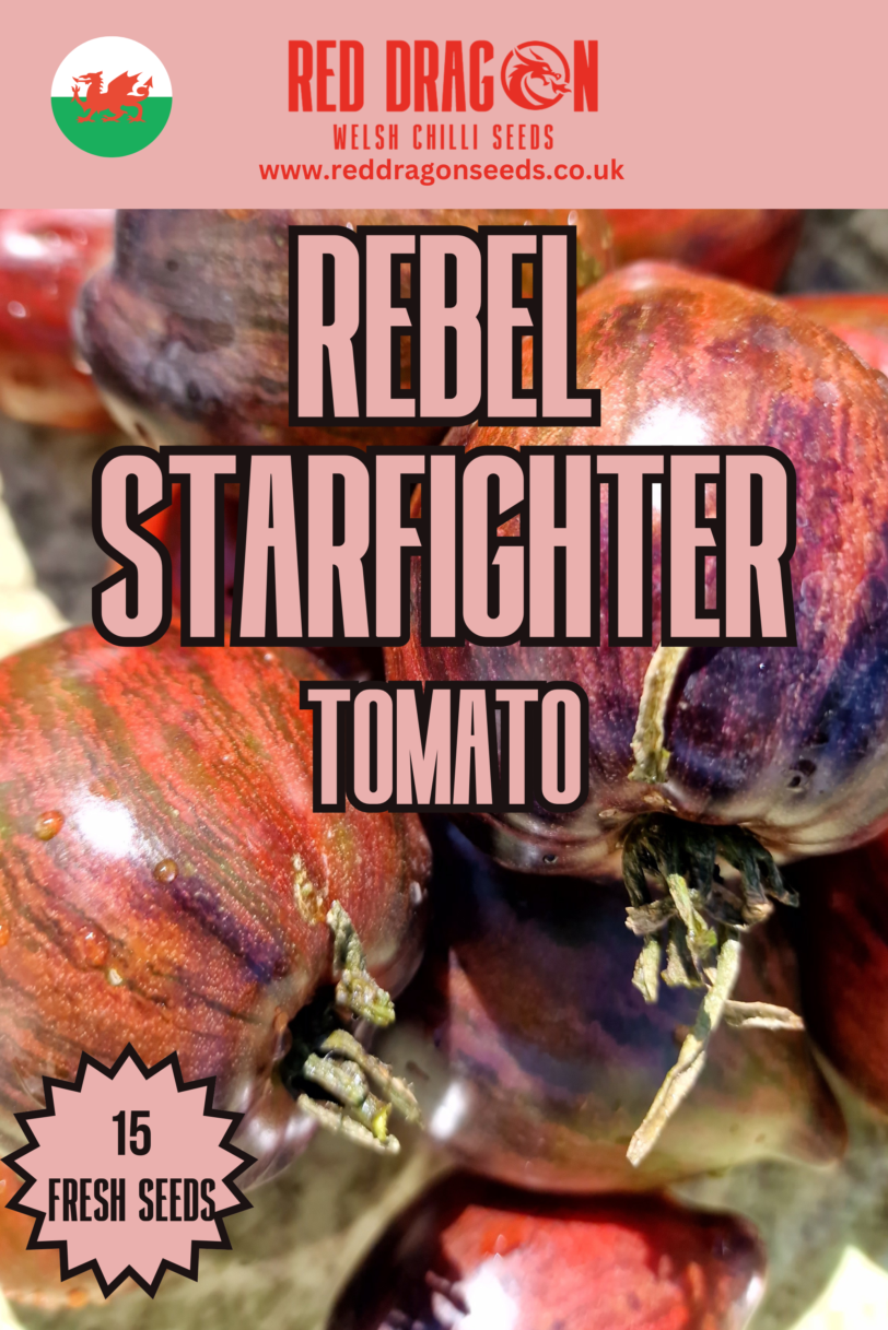 Rebel Starfighter Prime Tomato Seeds