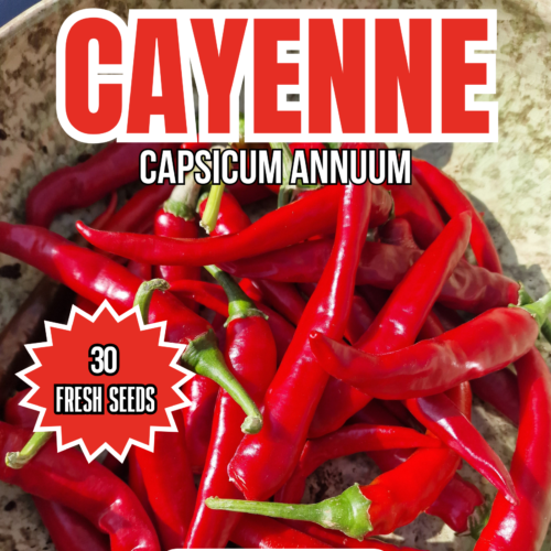 Red Cayenne Chili Seeds