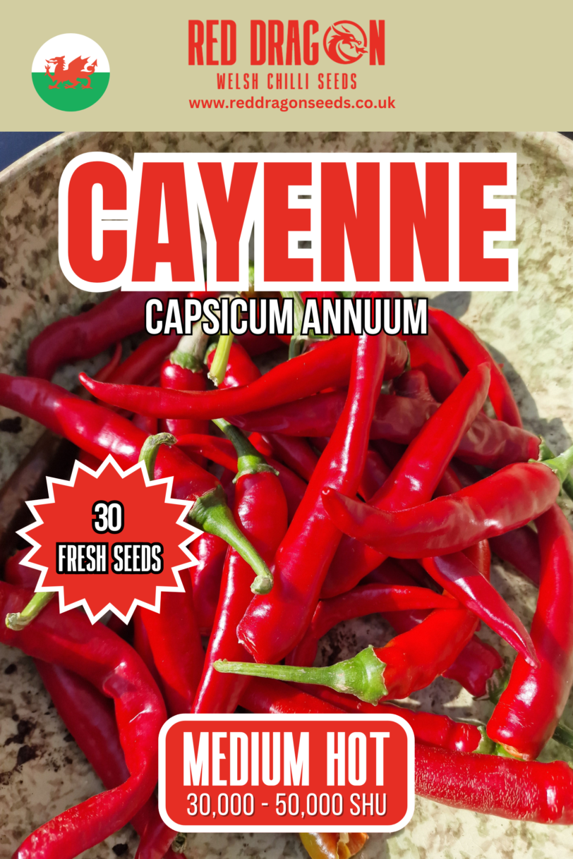 Red Cayenne Chili Seeds