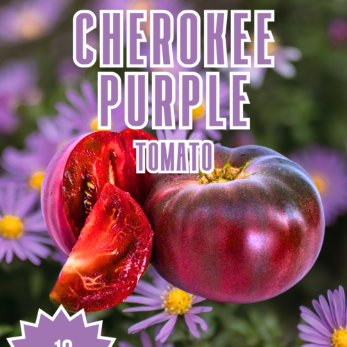 Cherokee Purple Tomato Seeds