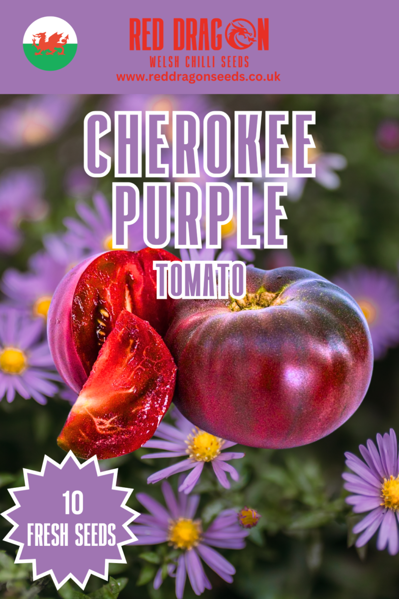 Cherokee Purple Tomato Seeds