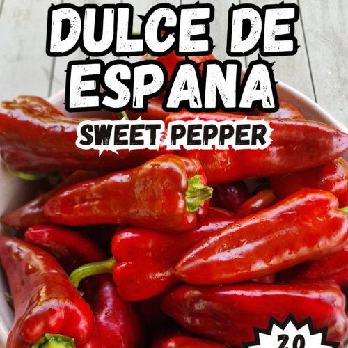 Dulce De Espana Sweet Pepper Seeds