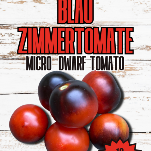 Blau Zimmer Tomato Seeds