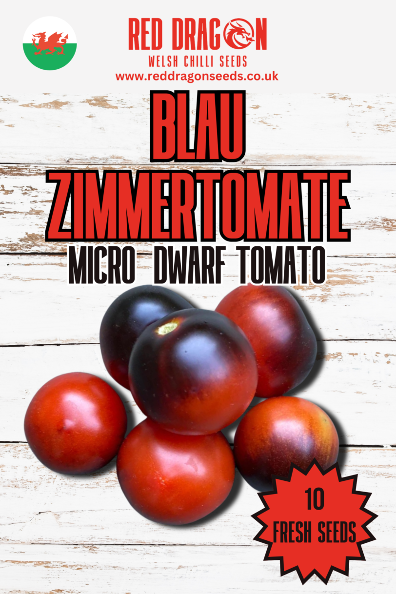 Blau Zimmer Tomato Seeds