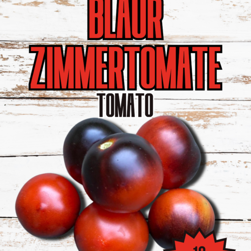 Blaue Zimmertomate Micro Dwarf Tomato Seeds