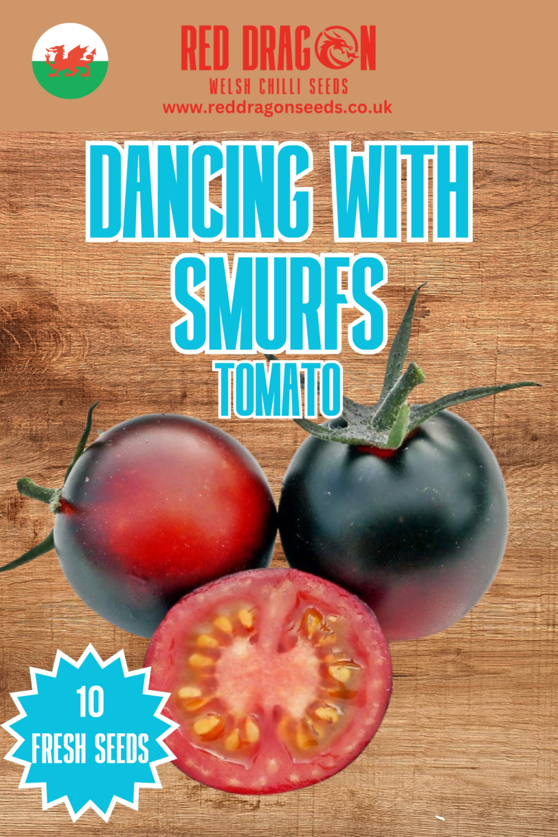 Dancing with Smurfs Tomato Seeds