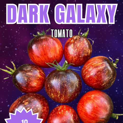 Dark Galaxy Tomato Seeds