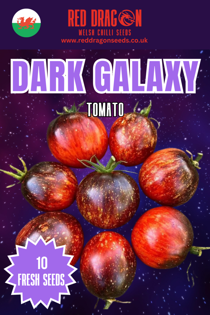 Dark Galaxy Tomato Seeds