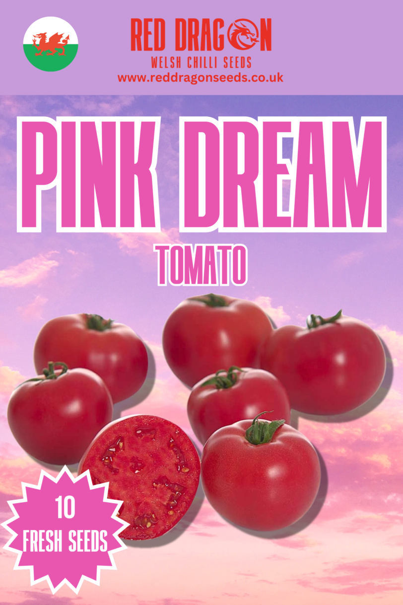 Pink Dream Tomato Seeds