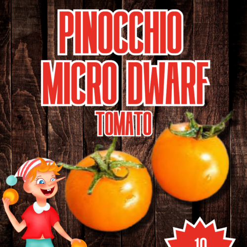 Pinocchio Micro Dwarf Tomato Seeds