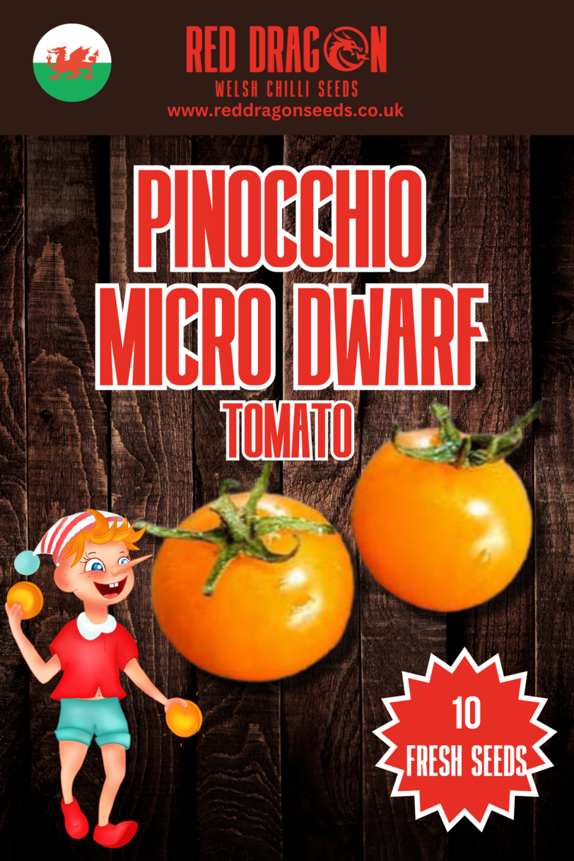 Pinocchio Micro Dwarf Tomato Seeds