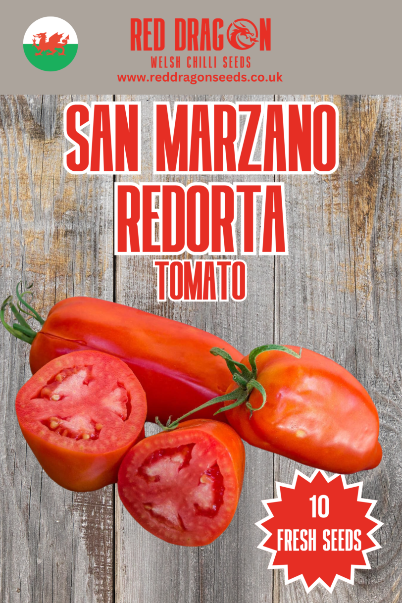 San Marzano Redorta Tomato Seeds