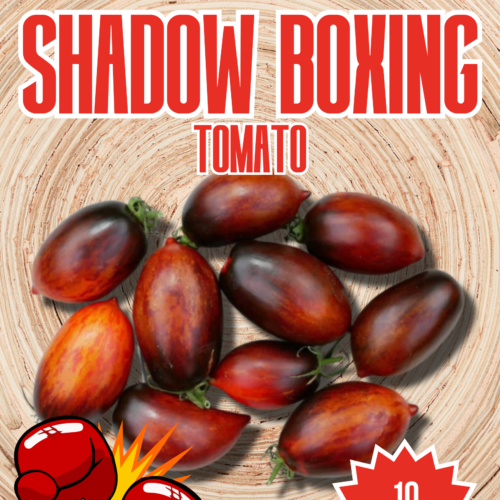 Shadow Boxing Tomato Seeds