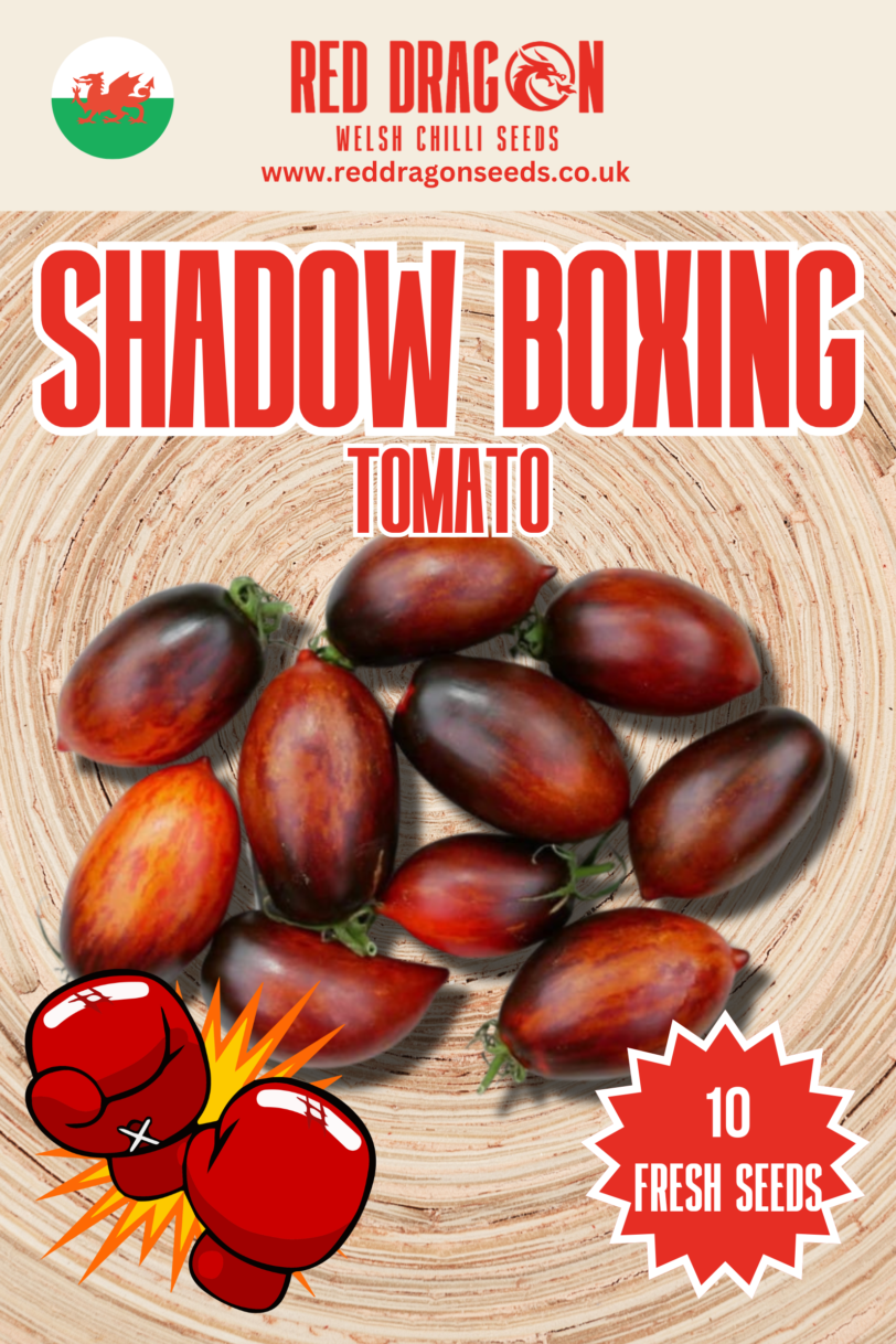 Shadow Boxing Tomato Seeds