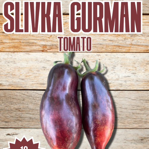 Slivka Gurman Tomato Seeds