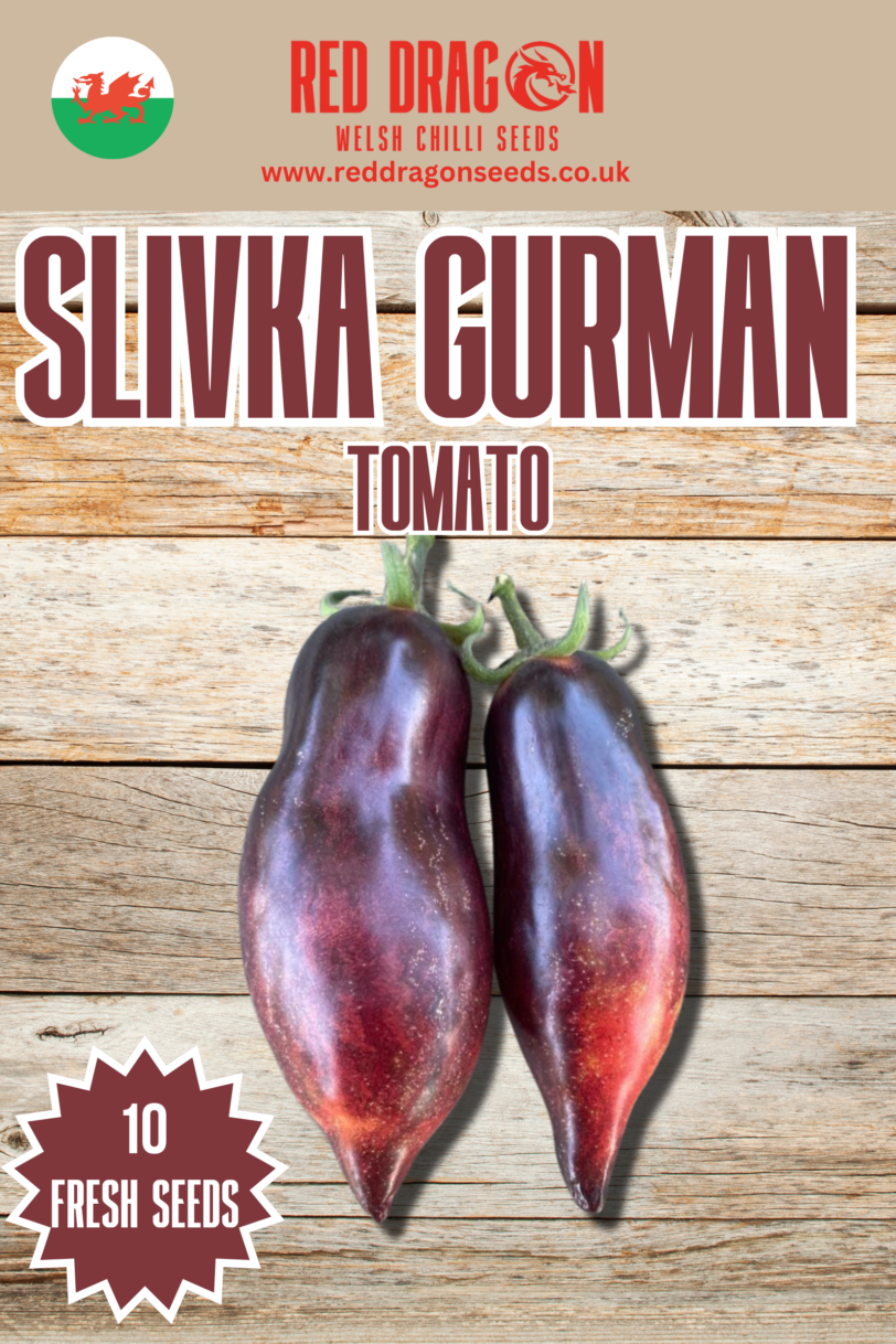 Slivka Gurman Tomato Seeds