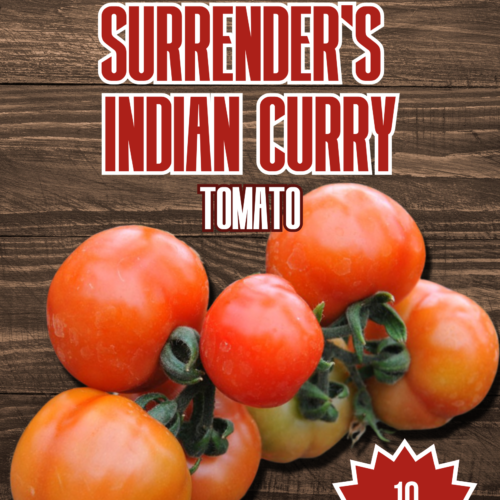 Surrender's Curry Tomato Seeds