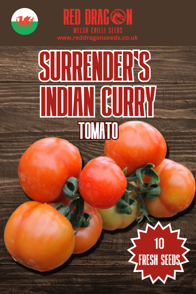 Surrender's Curry Tomato Seeds