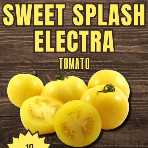 Sweet Splash Electra Tomato Seeds