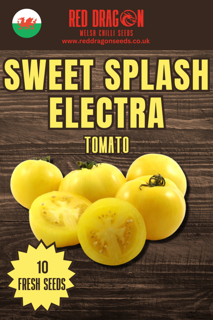 Sweet Splash Electra Tomato Seeds