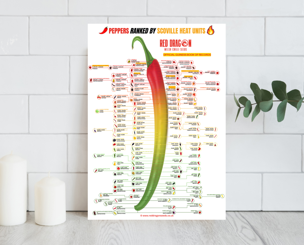 Scoville Chart Poster - A2 Laminated Scoville Chart with over 120 Chilli Types Listed