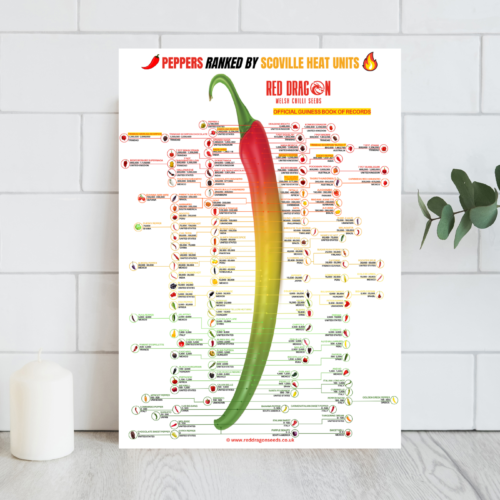 A2 Printed Scoville Chart