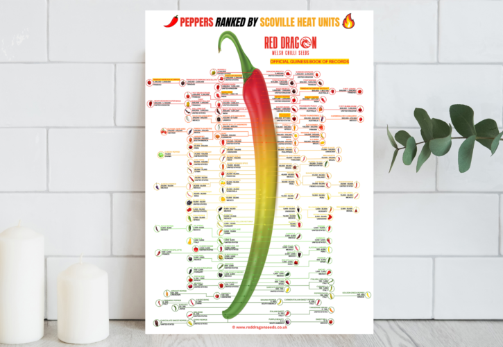 A2 Printed Scoville Chart