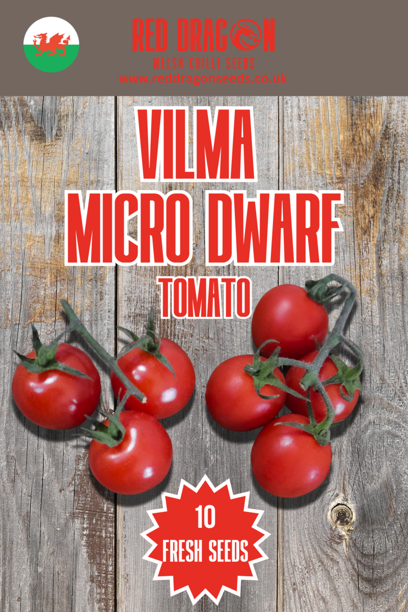 Vilma Micro Dwarf Tomato Seeds