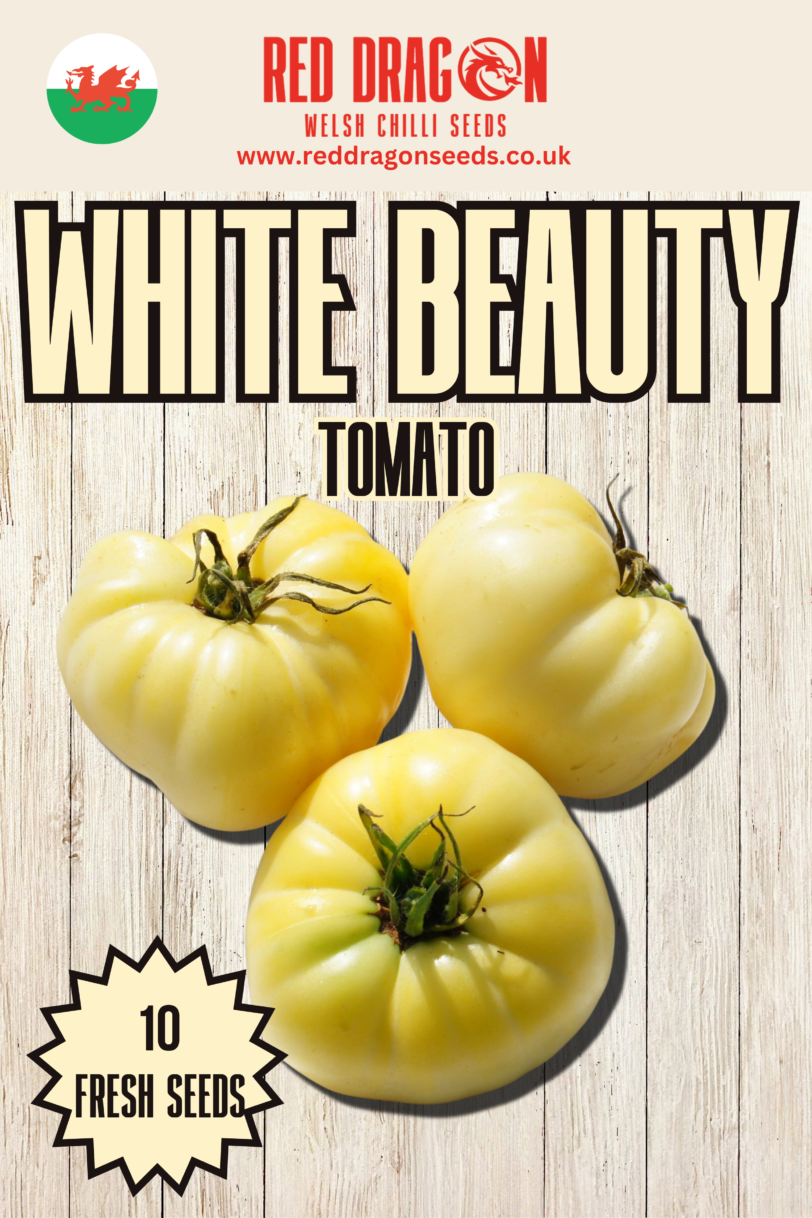 White Beauty Tomato Seeds