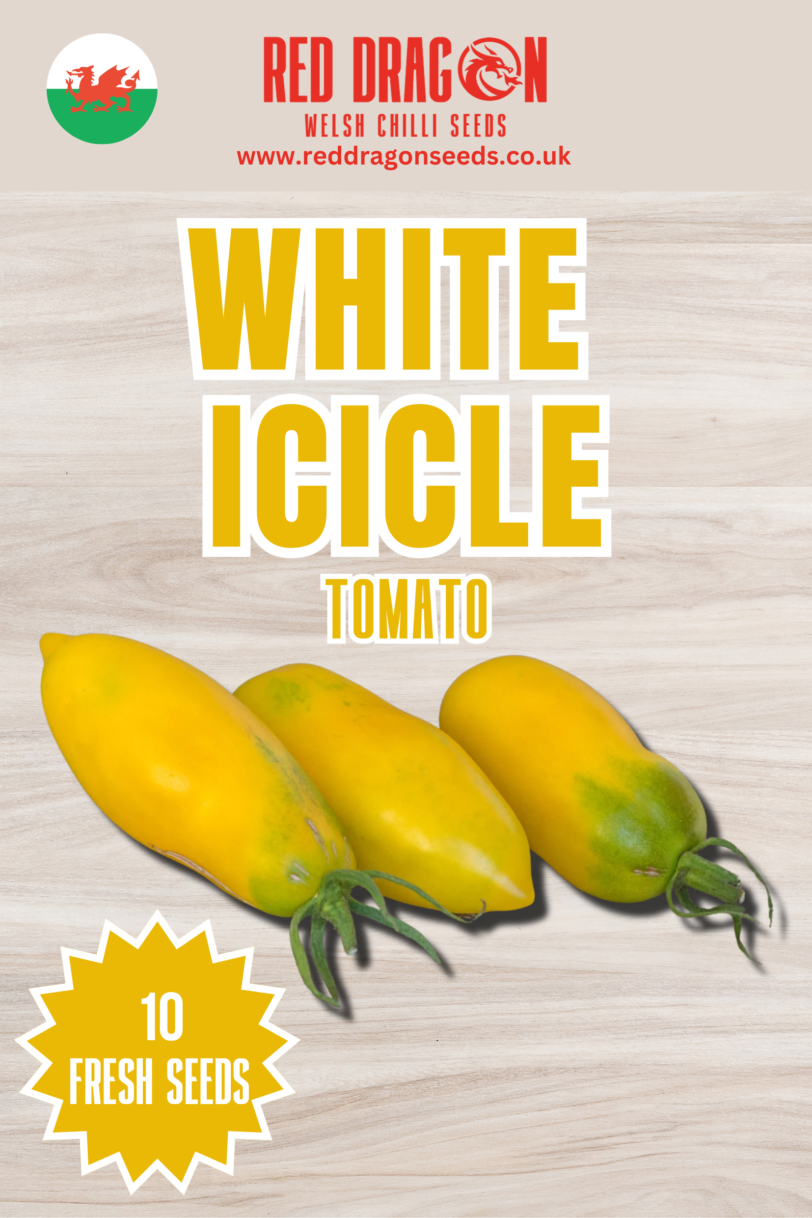 White Icicle Tomato Seeds