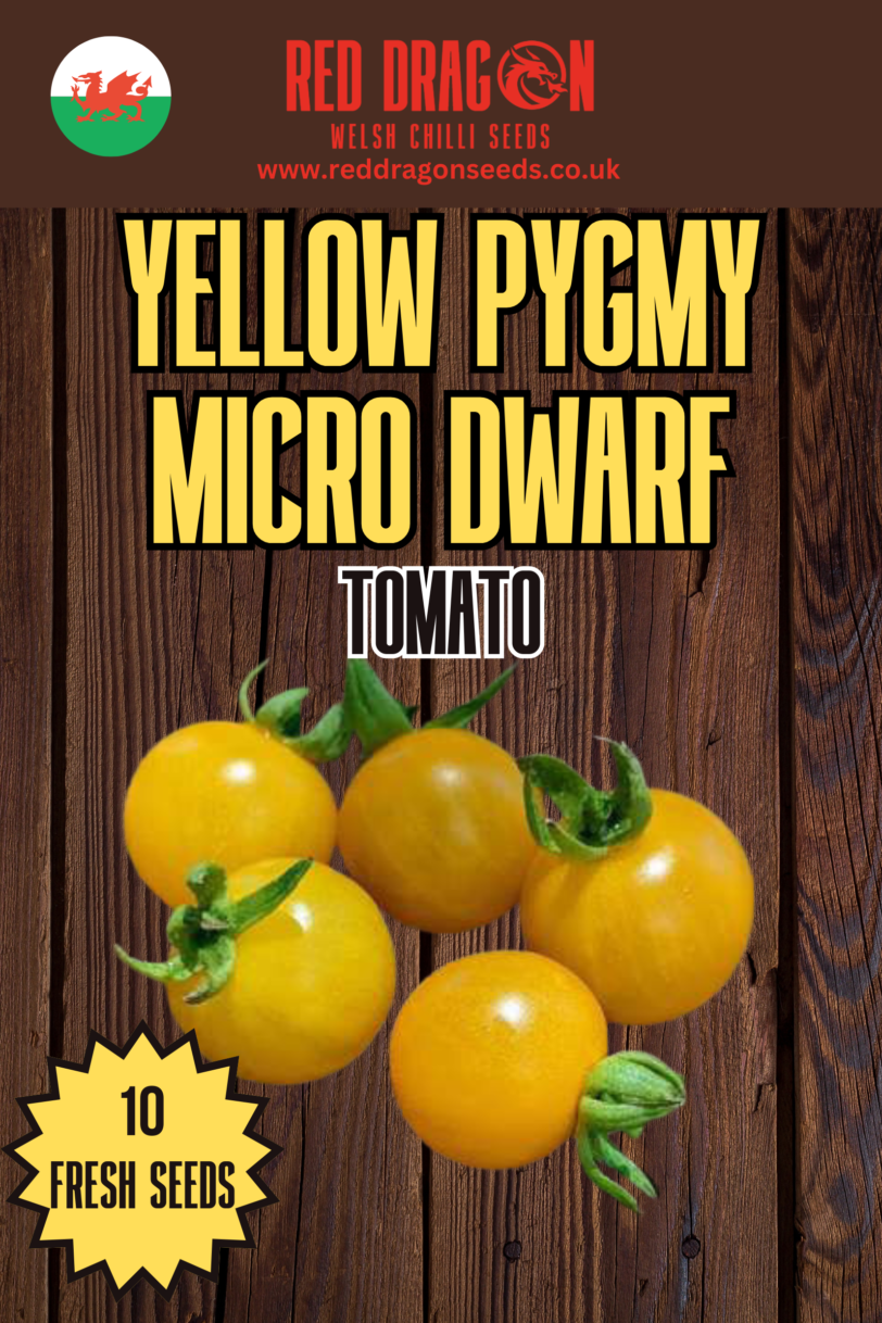 Yellow Pygmy Micro Dwarf Tomato Seeds