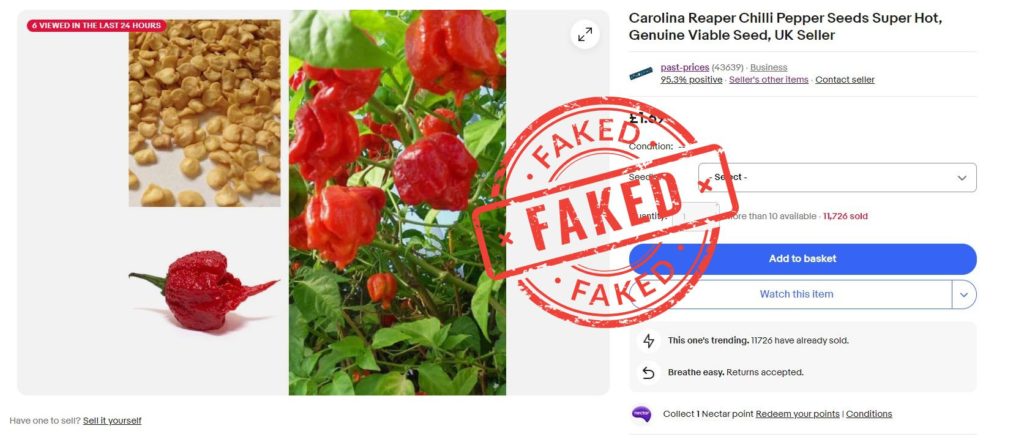 Past Prices Fake Carolina Reaper Seeds from Ebay