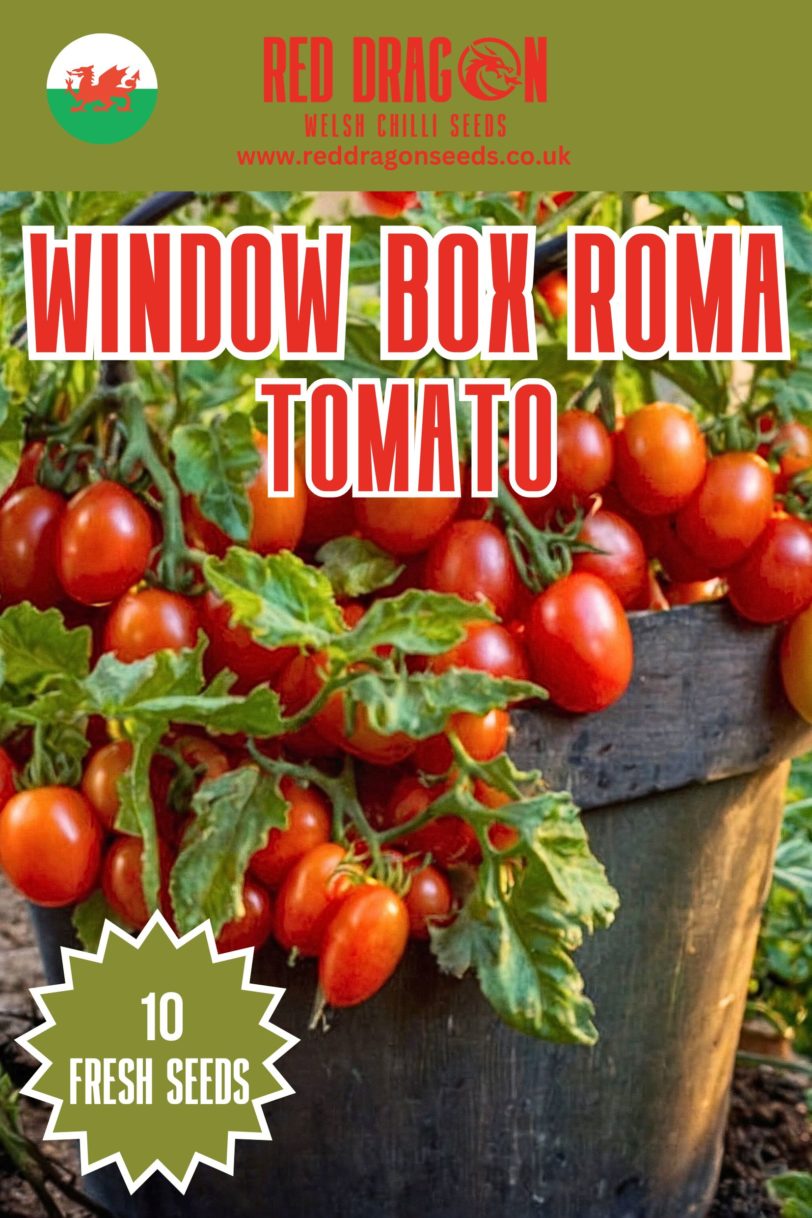 Window Box Roma Tomato Seeds