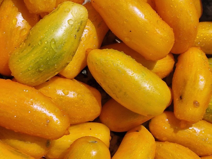 San Marzano Yellow Tomato Seeds