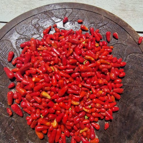 Thai Hot Red Chilli Seeds