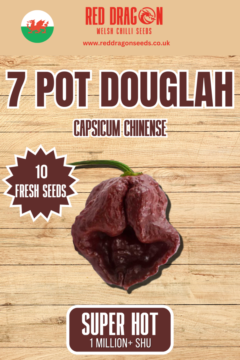 7 Pot Douglah Chilli Seeds