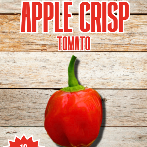 Apple Crisp Chilli Seeds