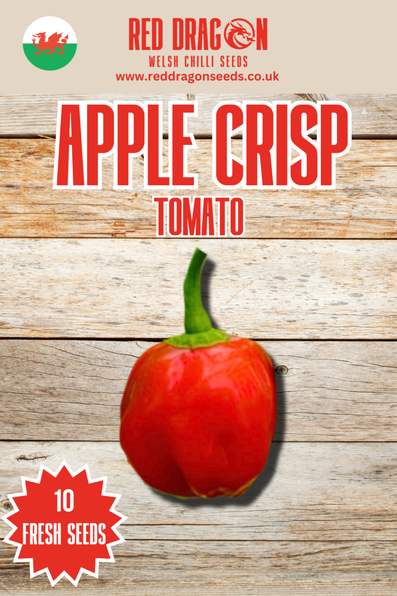 Apple Crisp Chilli Seeds