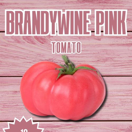 Brandywine Pink Tomato Seeds