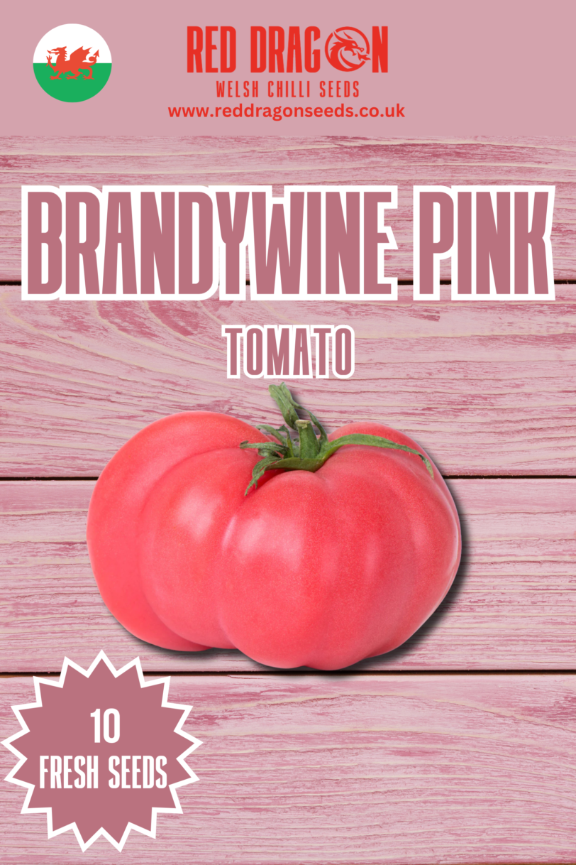 Brandywine Pink Tomato Seeds