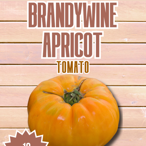 Brandywine Apricot Tomato Seeds