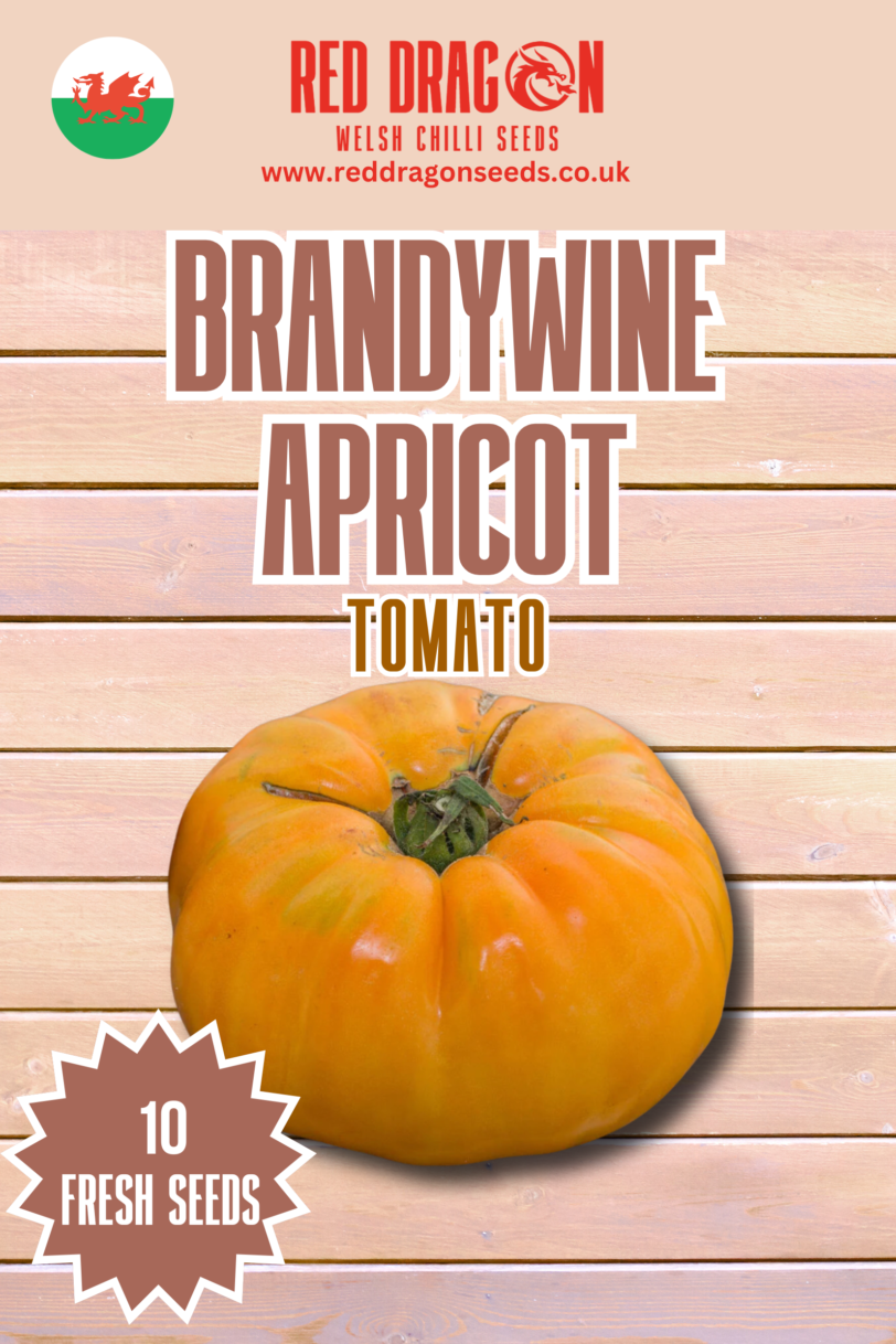 Brandywine Apricot Tomato Seeds