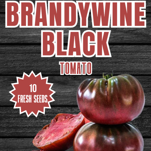 Brandywine Black Tomato Seeds