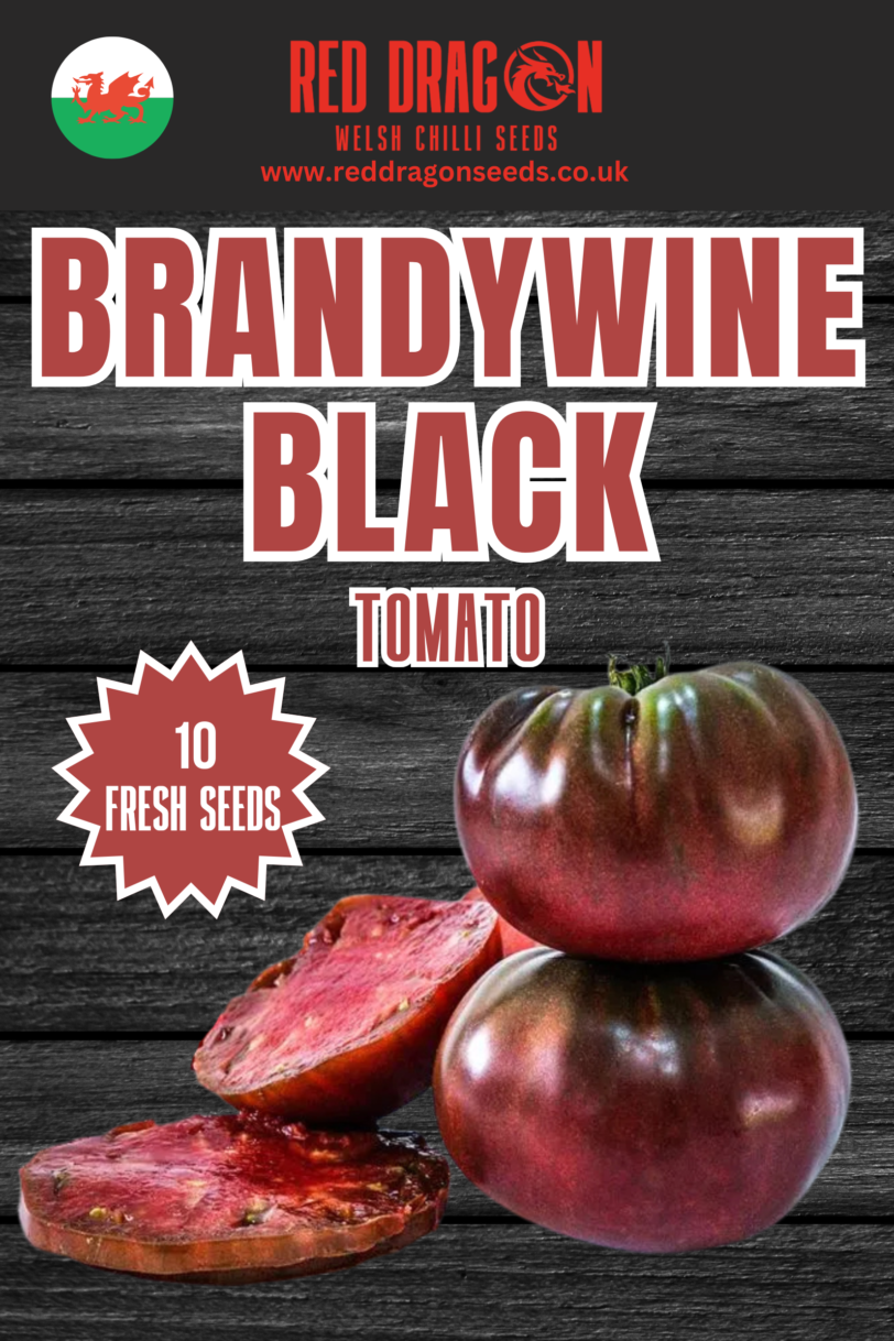 Brandywine Black Tomato Seeds