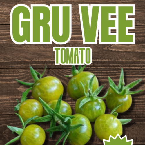 Gru Vee Tomato Seeds