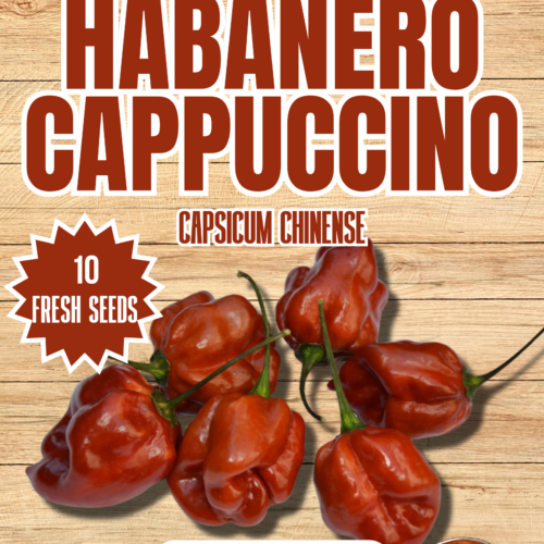 Habanero Cappuccino Chilli Seeds