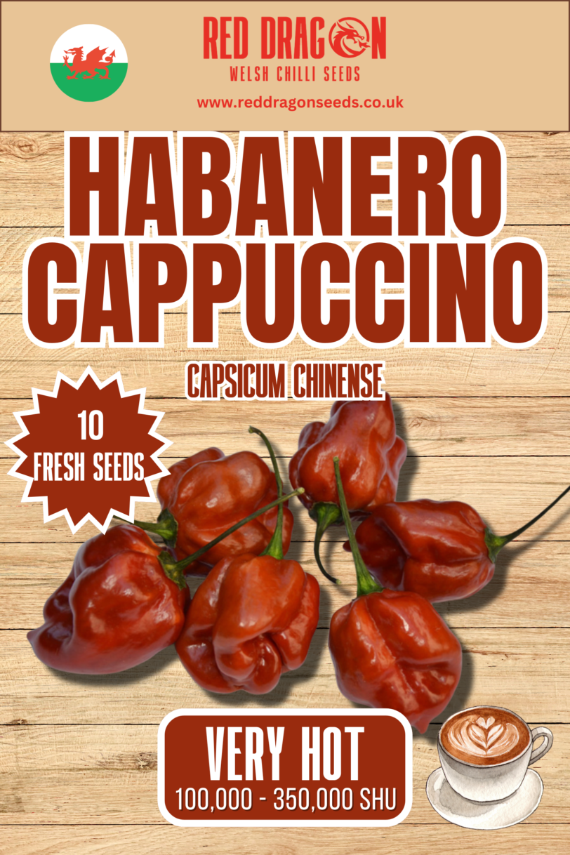 Habanero Cappuccino Chilli Seeds